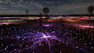 Field of Light | Uluru Australia | Uluru Rockies | Ayers Indigenous Tourism