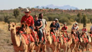 camel tours | Uluru Australia | Uluru Rockies | Ayers Indigenous Tourism
