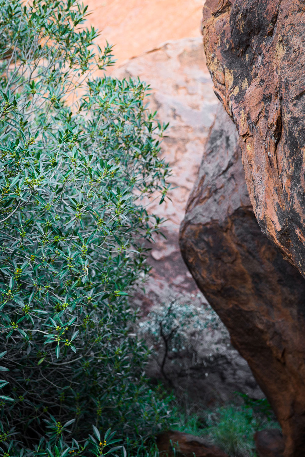 Uluru rock face