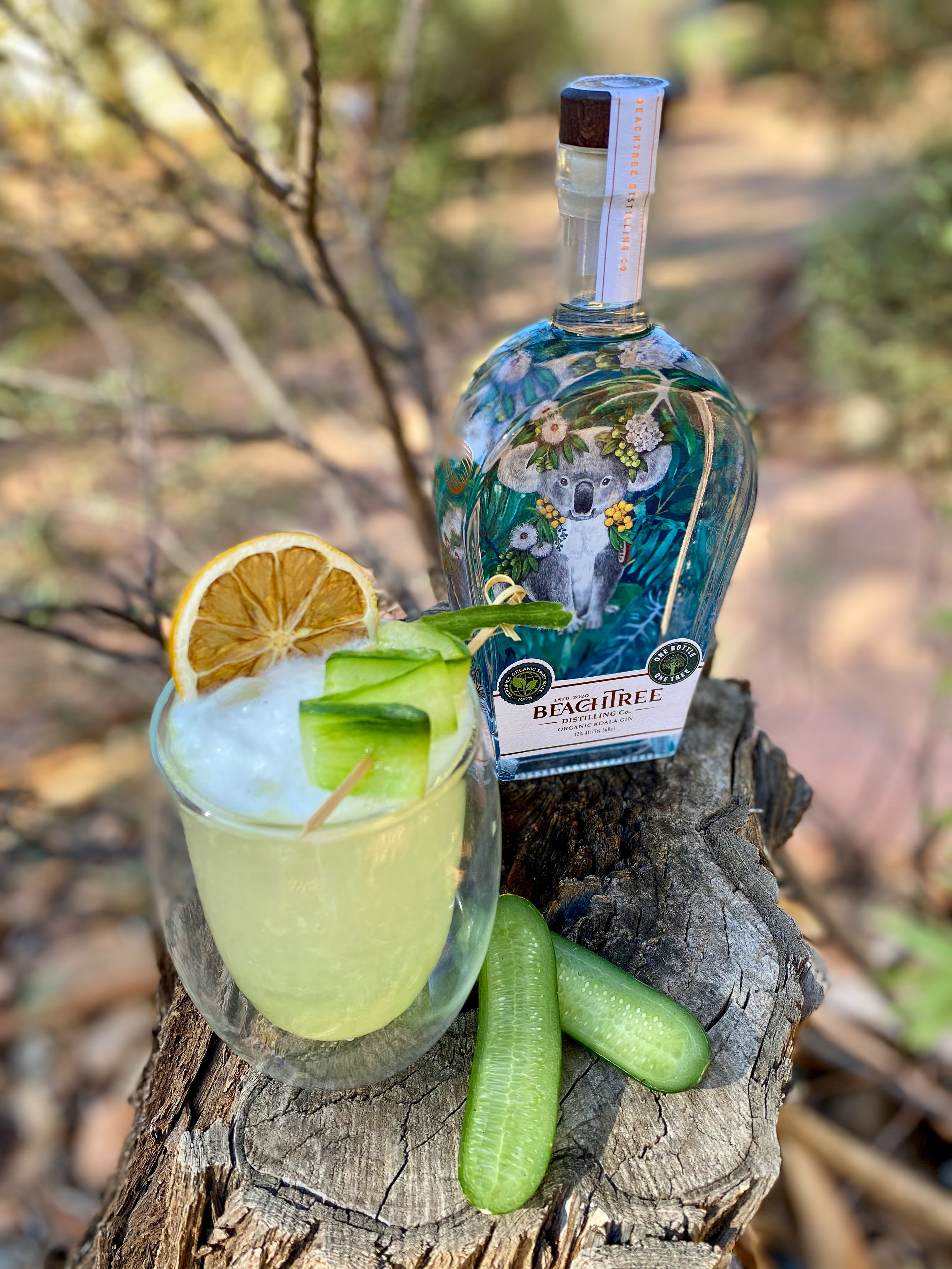 Cucumber Cooler with Beechtree Koala Gin