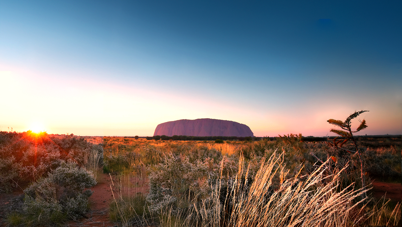 Stay 3 Nights & Save 40%