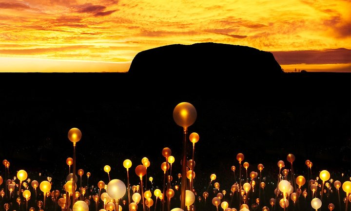 Uluru and Field of Light