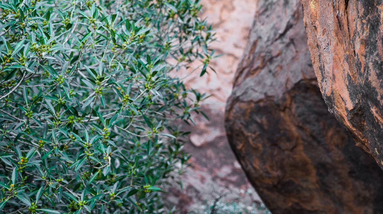 Uluru rock face