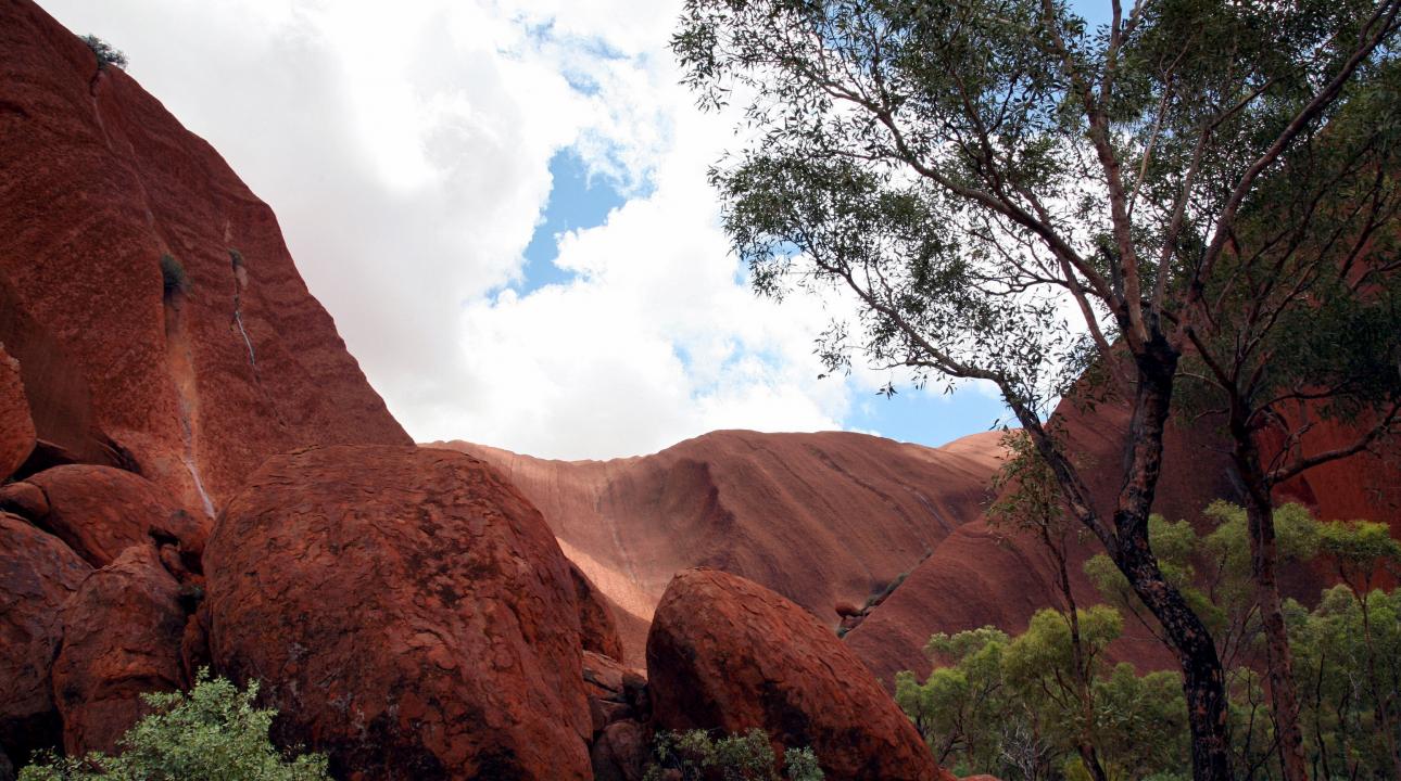 Uluru, looking up