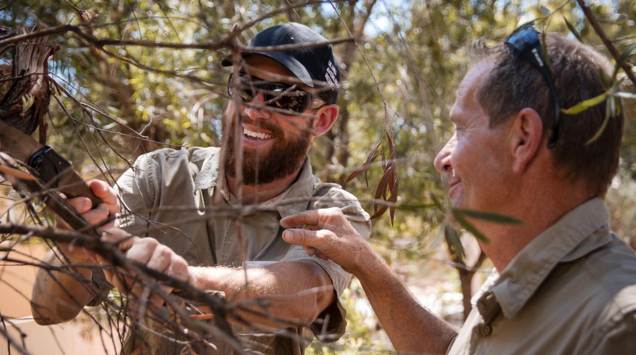 Two men talking and cutting a branch