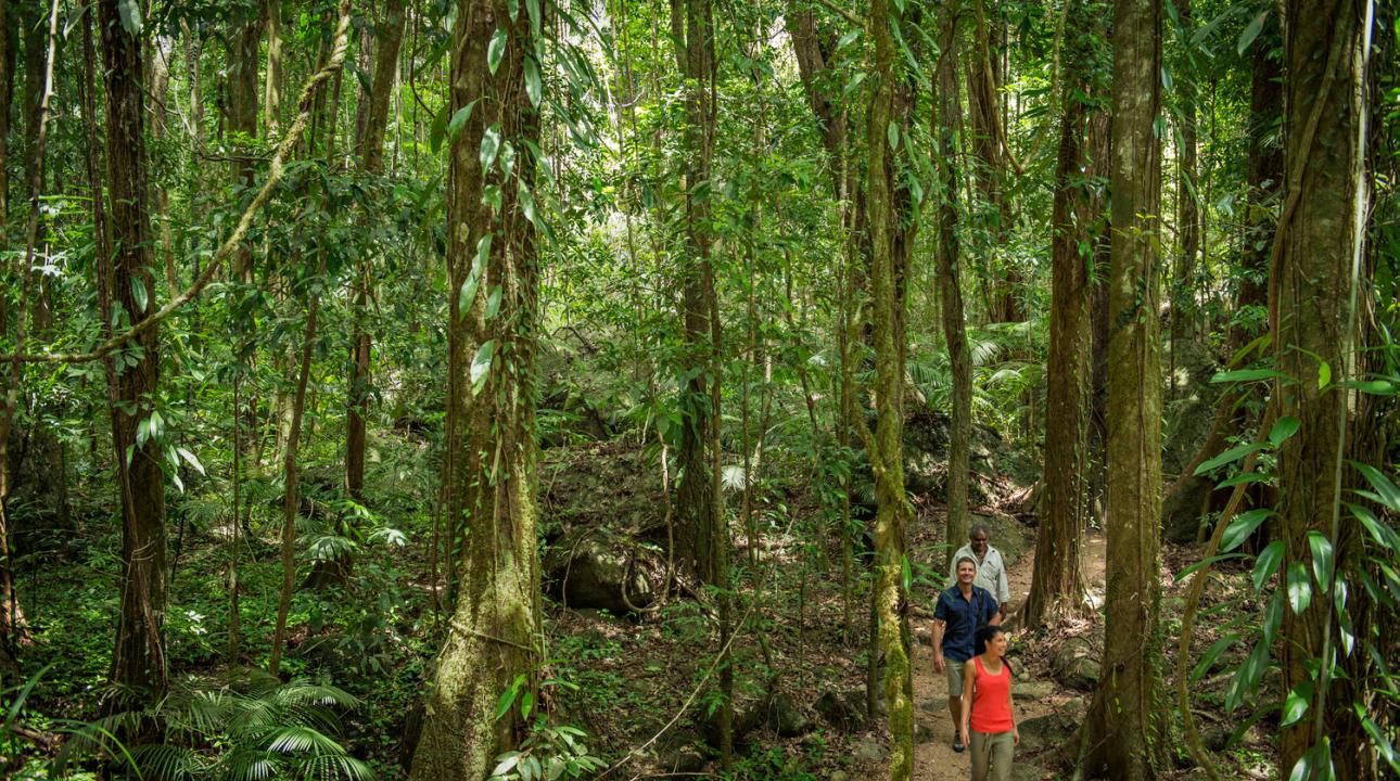Dreamtime Walk Mossman Gorge Cultural Centre