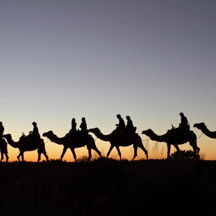 A silhouette of people riding camels at sunset | Uluru Australia | Uluru Rockies | Mossmangor Indigenous Tourism