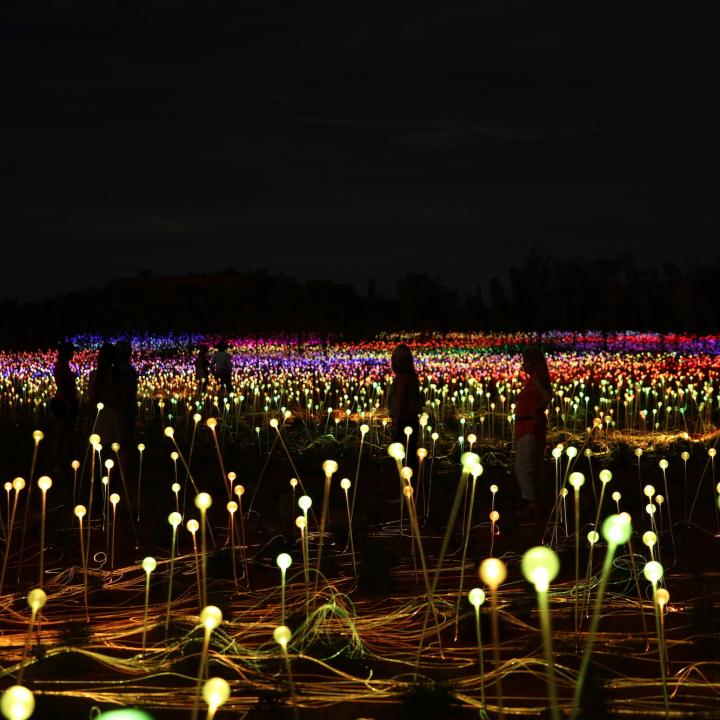 Field of light up close