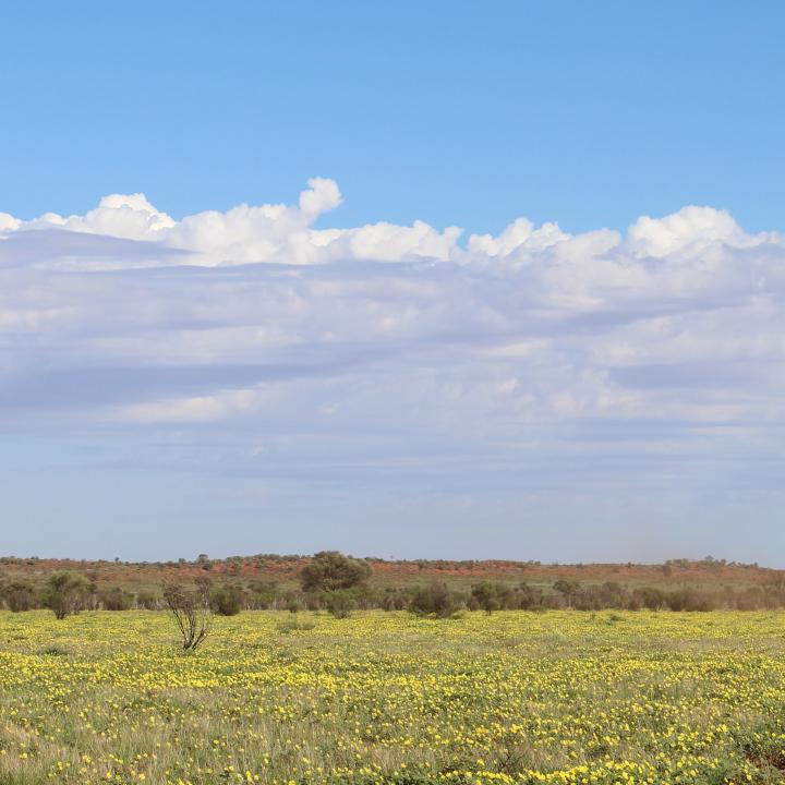 australia outback road with van