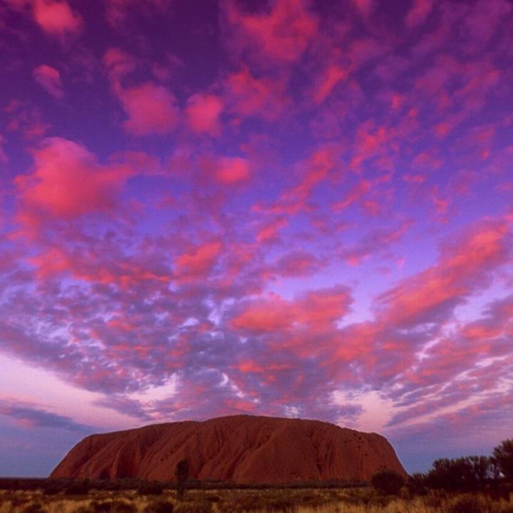 Uluru colorful purple sunset