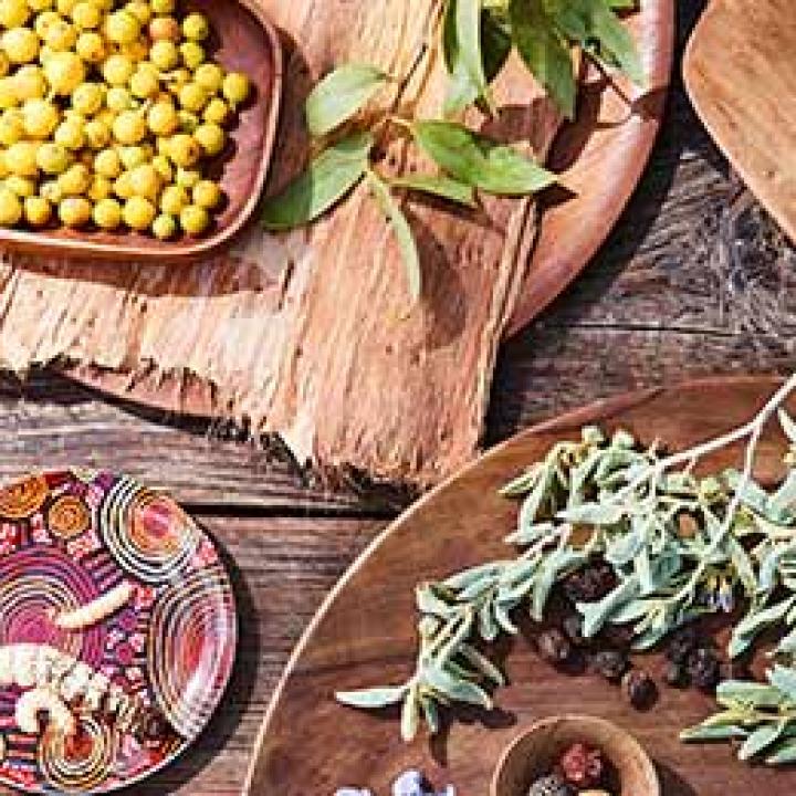 experiences bush tucker journeys flatlay