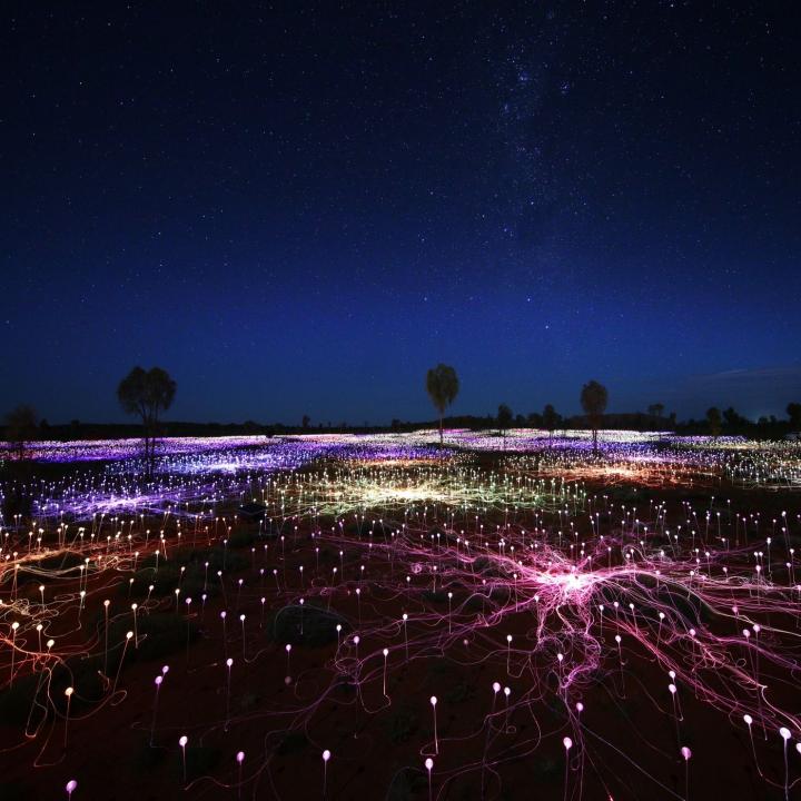 Field of light with starry sky