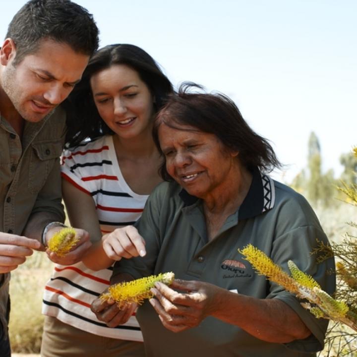 exploring indigenous food