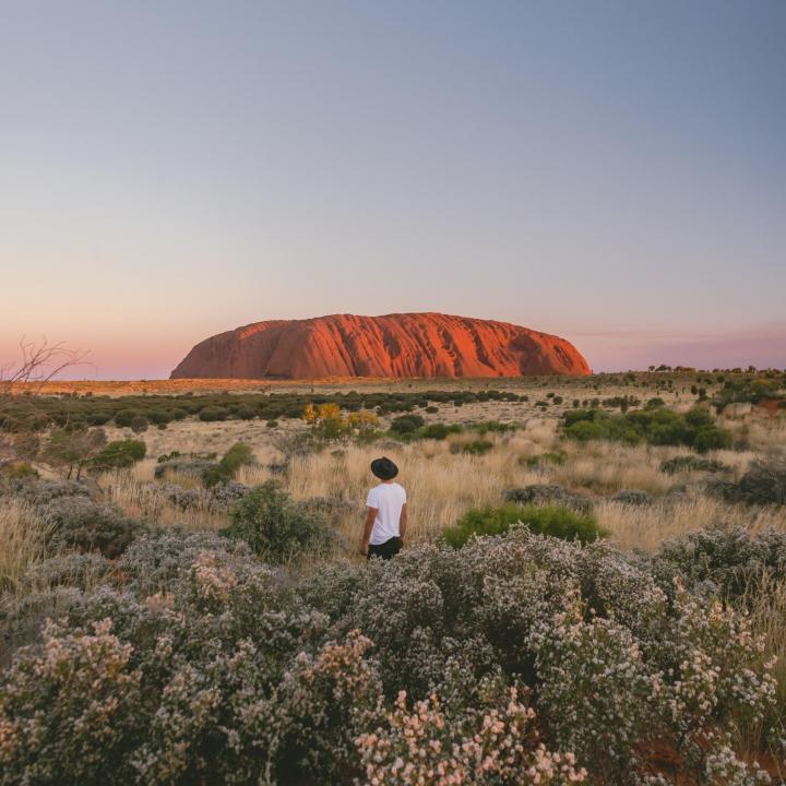 Man looking at Uluru during sunset