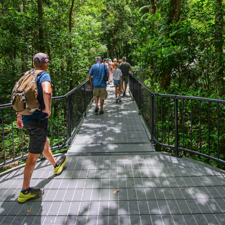 Self-guided walks at Mossman Gorge