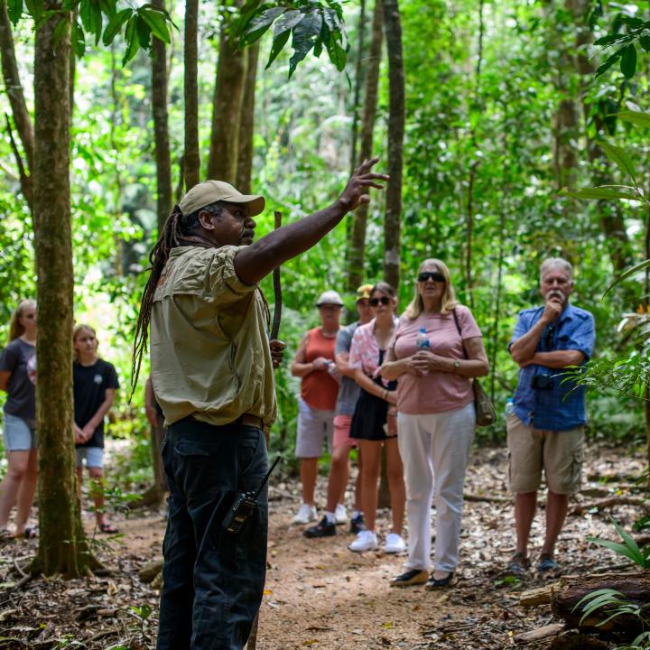 Mossman Gorge Dreamtime Walk