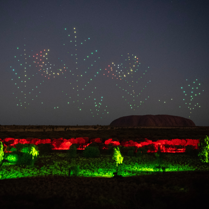 Wintjiri Wiru The Trees