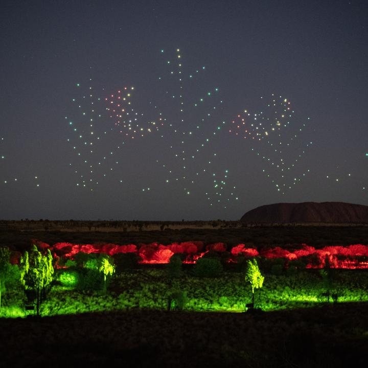 Wintjiri Wiru The Trees