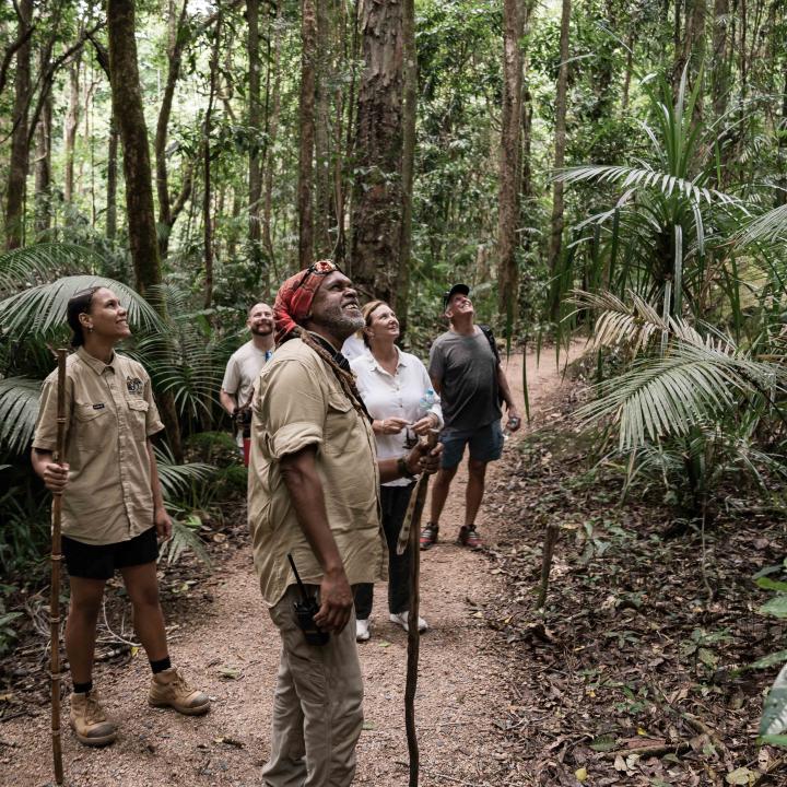 Group at Mossman Gorge looking upwards at the trees
