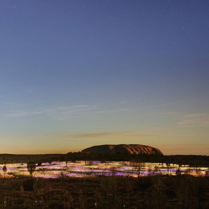 Viewing dune from Field of Light Star Pass