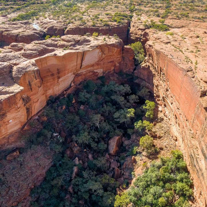 Kings Canyon & Outback Panoramas