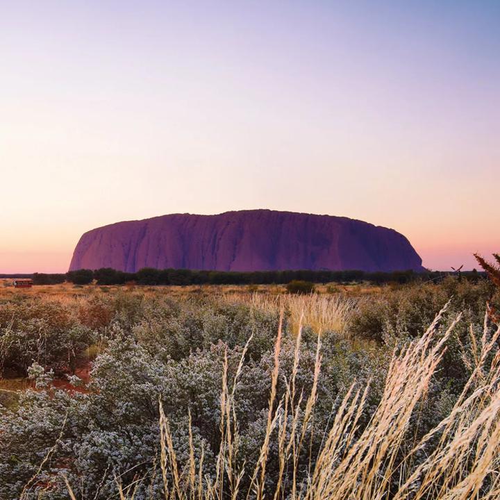 An image of Uluru glowing in purples and red over the dry desert landscape