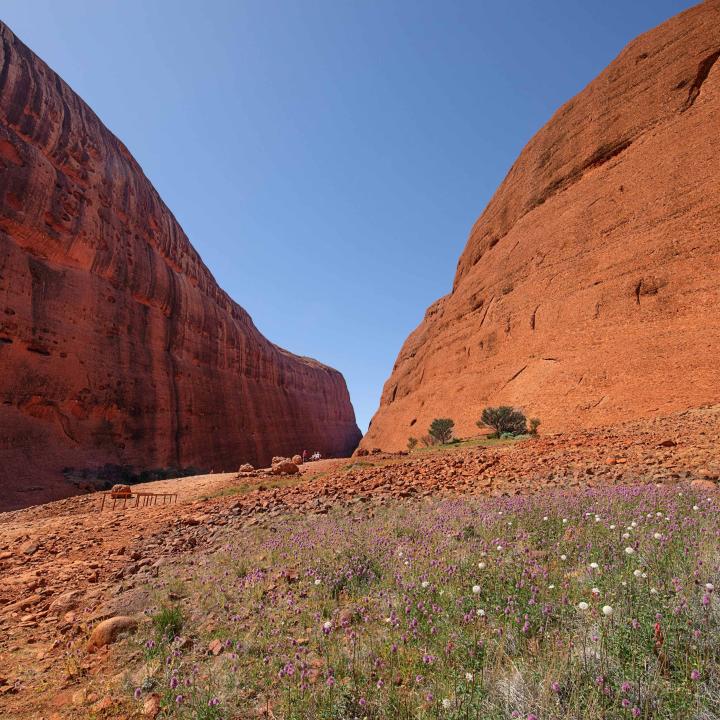 Uluru Sunrise & Kata Tjuta
