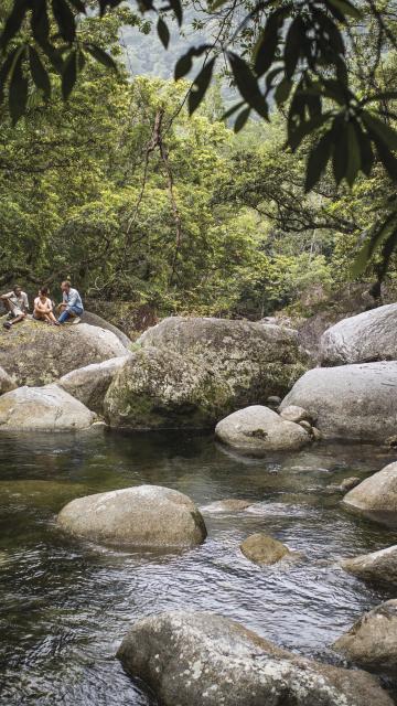 a creek at Mossman Gorge