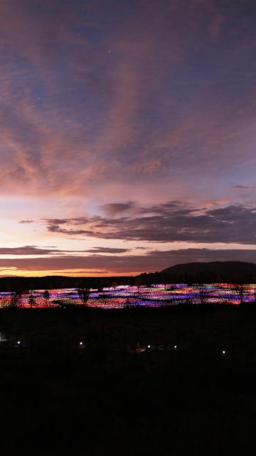 A sunset view Field of Light