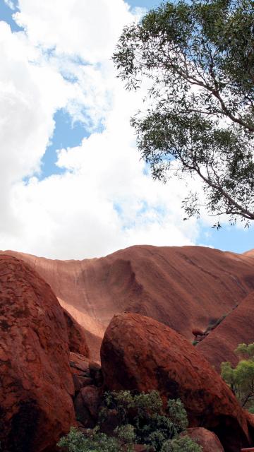 Uluru, looking up