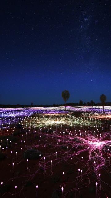 Field of light with starry sky
