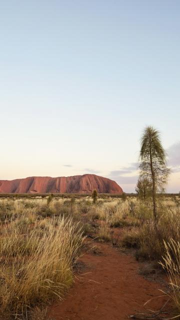 Uluru