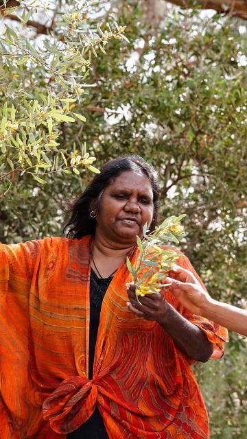 two women study a plant