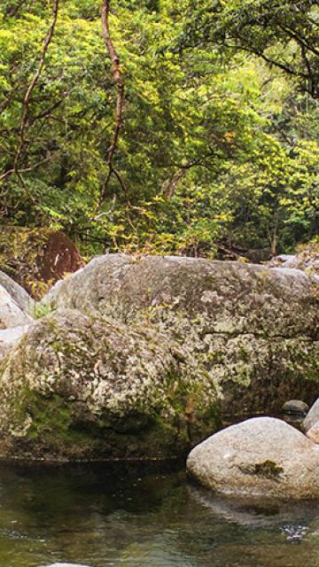 three people sitting on rocks at Mossman Gorge