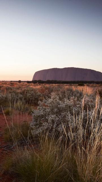 Sunrise at Uluru