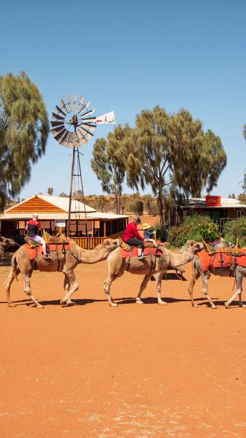 Uluru Camel Tours