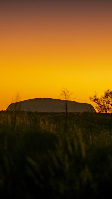 Uluru during sunrise, showing orange and yellow tones in the sky and dark green on the ground